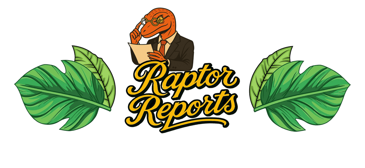 Raptor Reports Logo